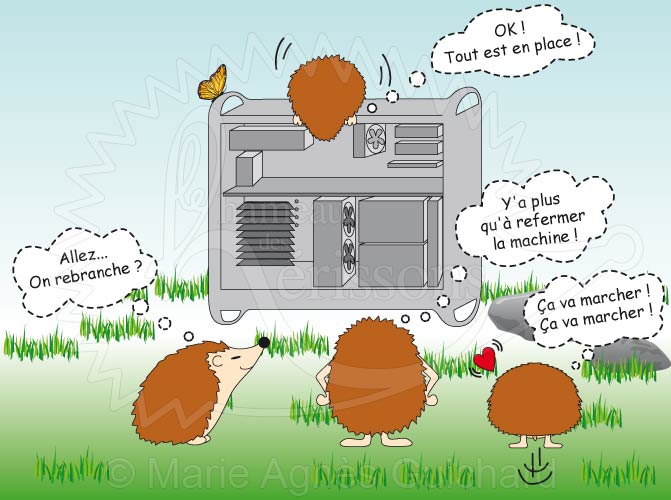 Panne d'ordinateur au Hameau des hérissons