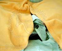 Nid de P'tite Princesse